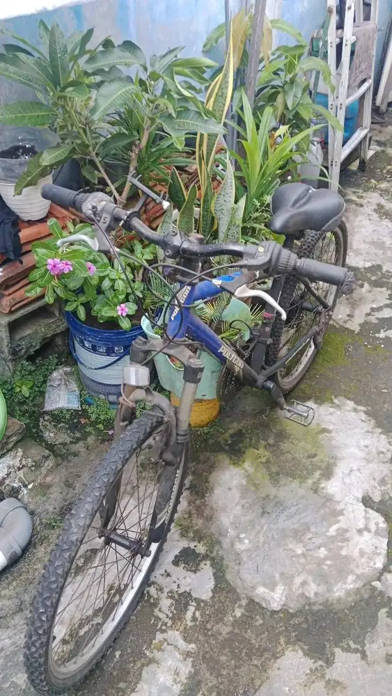 Polygon monarch 2 16 biru bekas