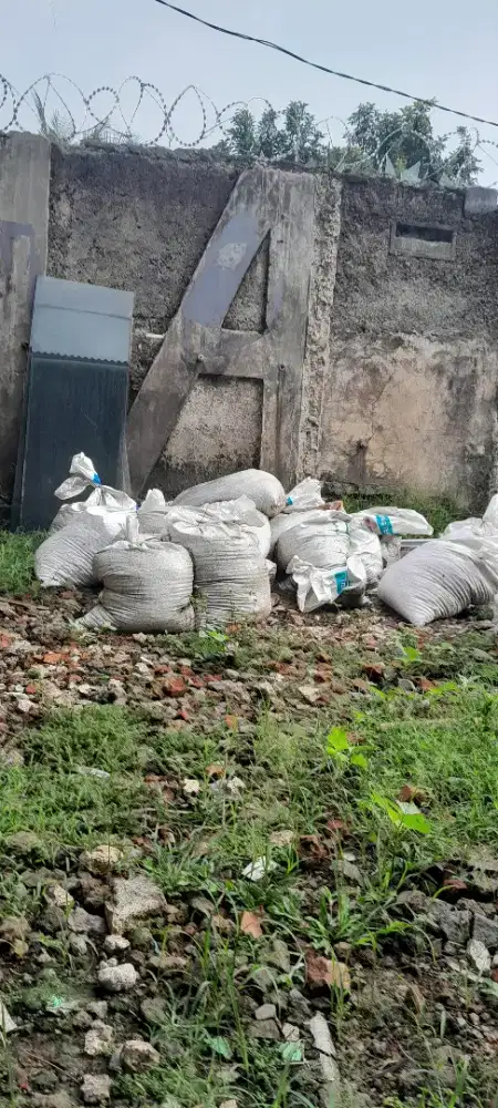 Kotoran hewan ayam petelur