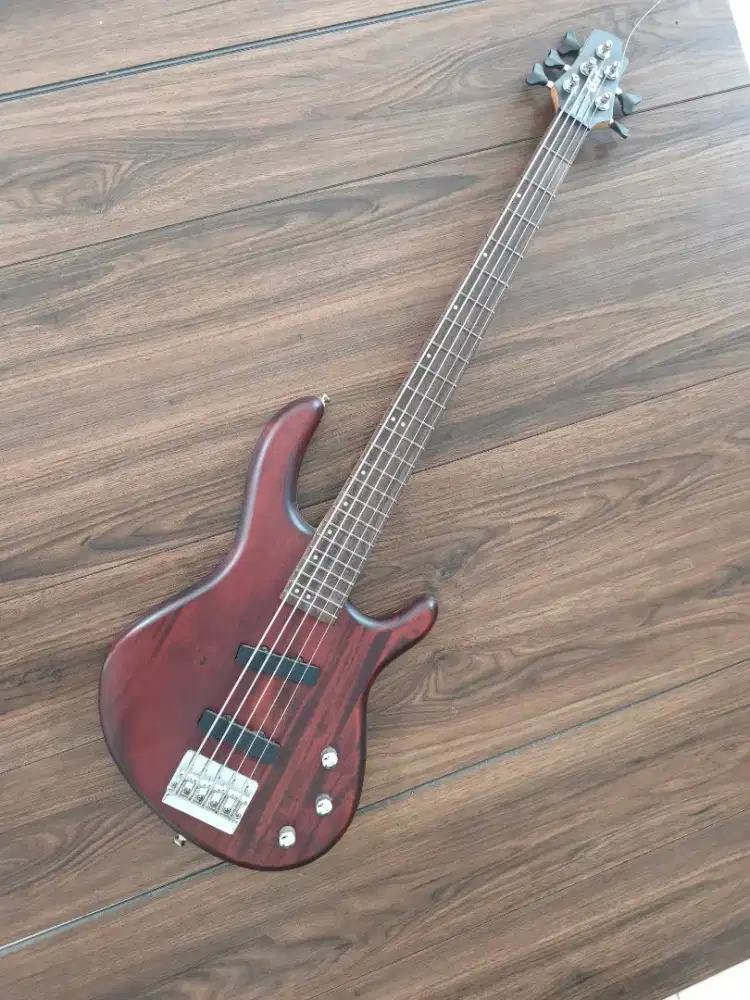 Bass cort passive 5 strings
