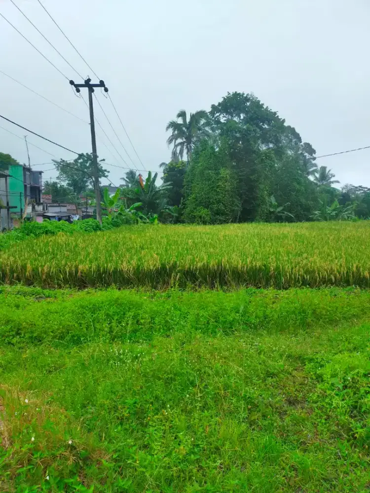 Tanah Luas Lokasi bagus