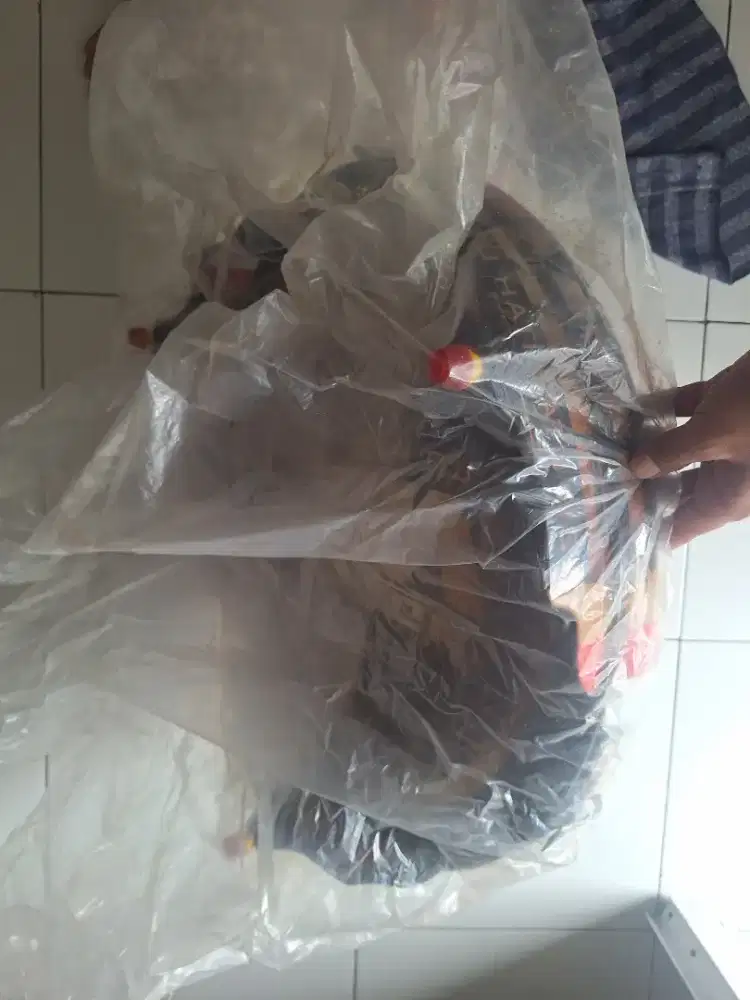 Tebokan Kandang Burung