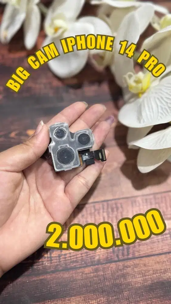 Kamera Belakang iPhone 14 / 14 Plus / 14 Pro / 14 Pro Max (28/3/26)