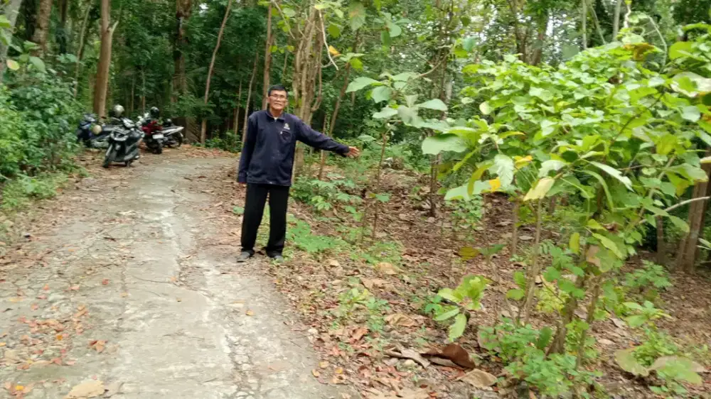 Jual tanah di Cerme panjatan kp