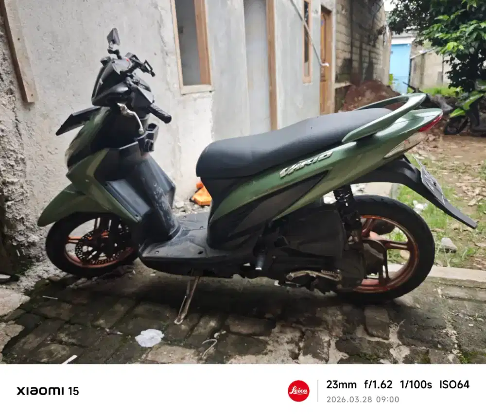 Vario 110 Agnes 2014