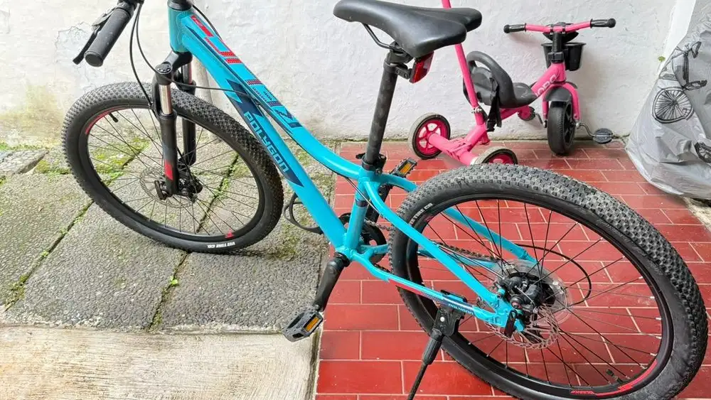 Sepeda Polygon Relic 24