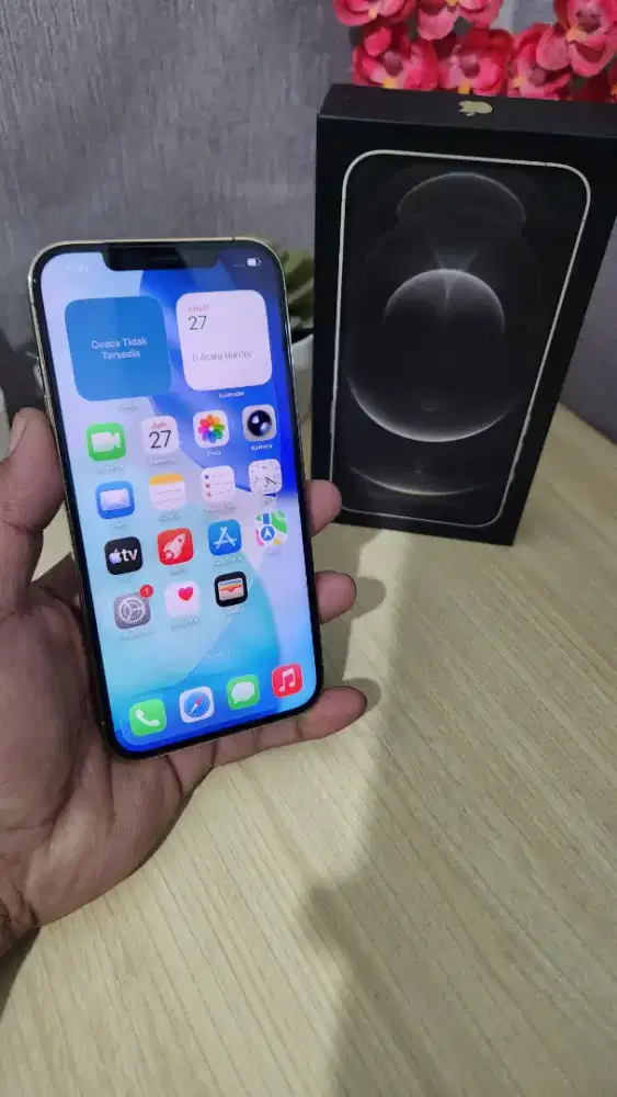 iPhone 12 Pro Max 256GB iBox PA/A