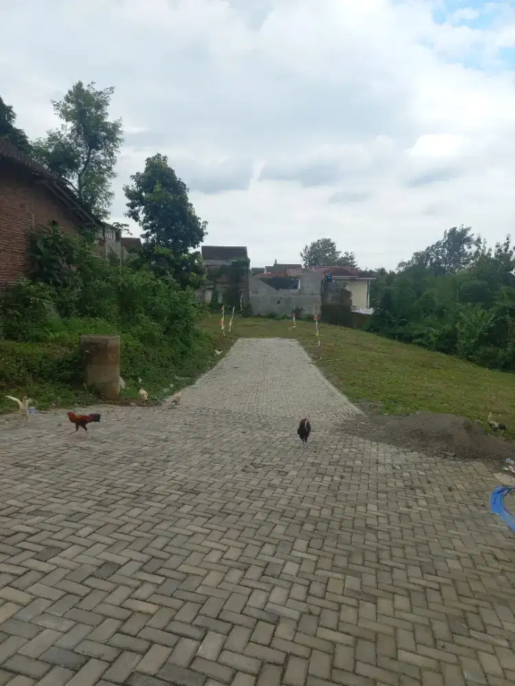 Tanah dijual termurah di banyumanik dekat SMA 4