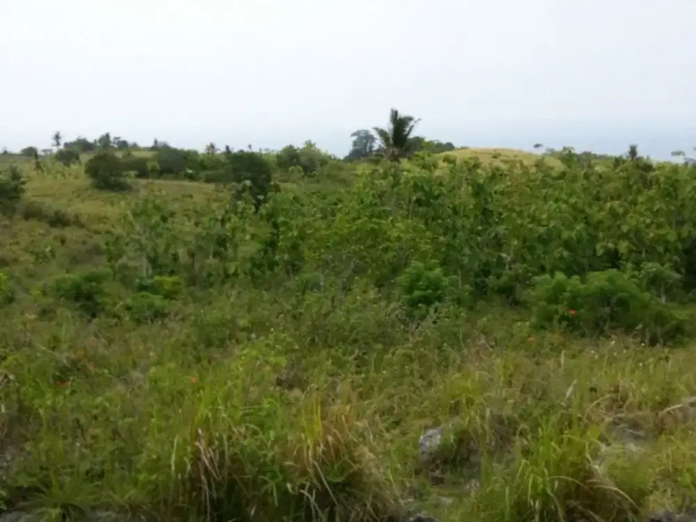 Tanah Strategis 84,5 Are Dijual, di Batumadeg Nusa Penida Area