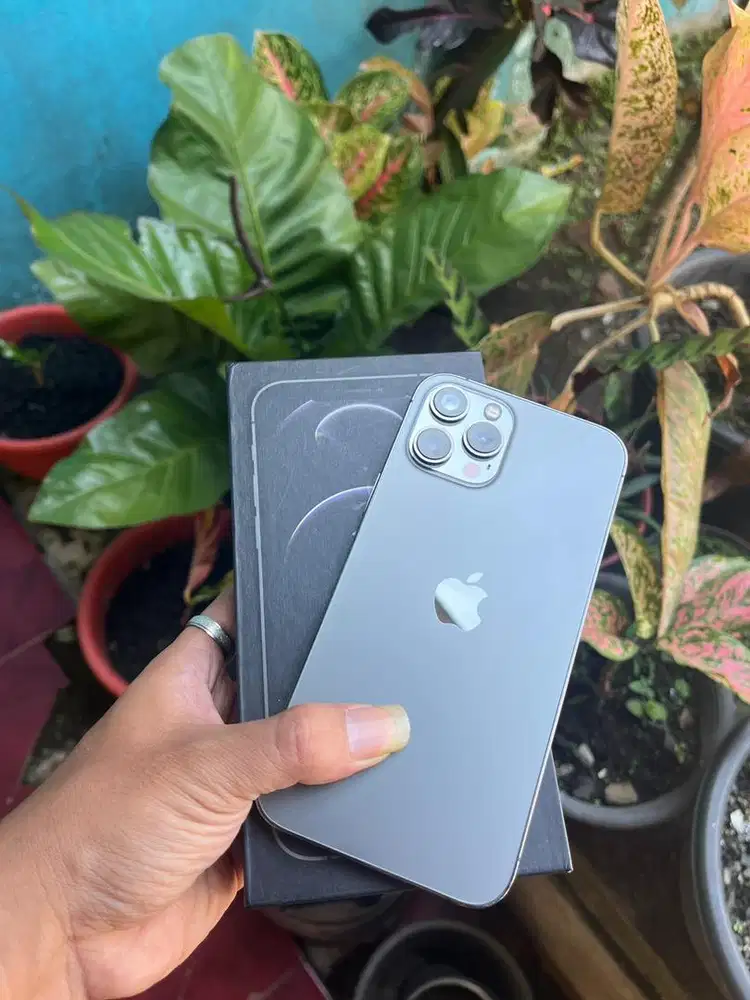 Iphone 12 promax 128