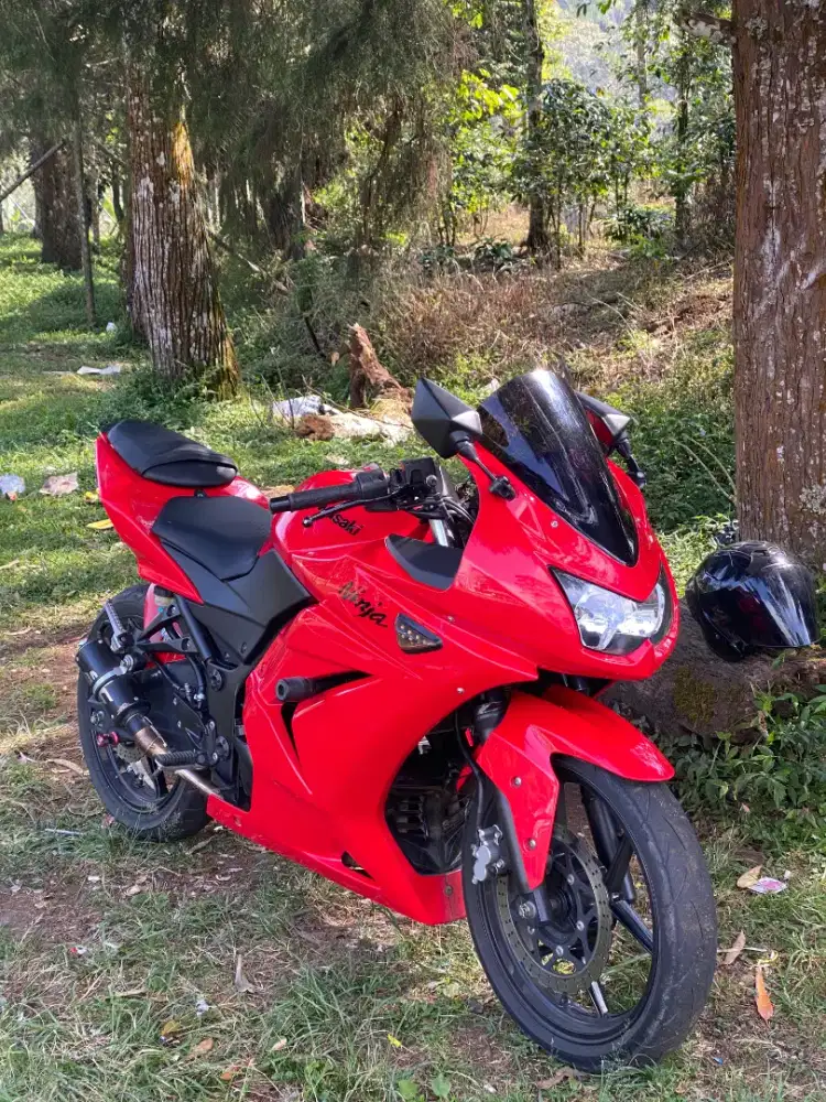 Kawasaki Ninja 250 Karburator