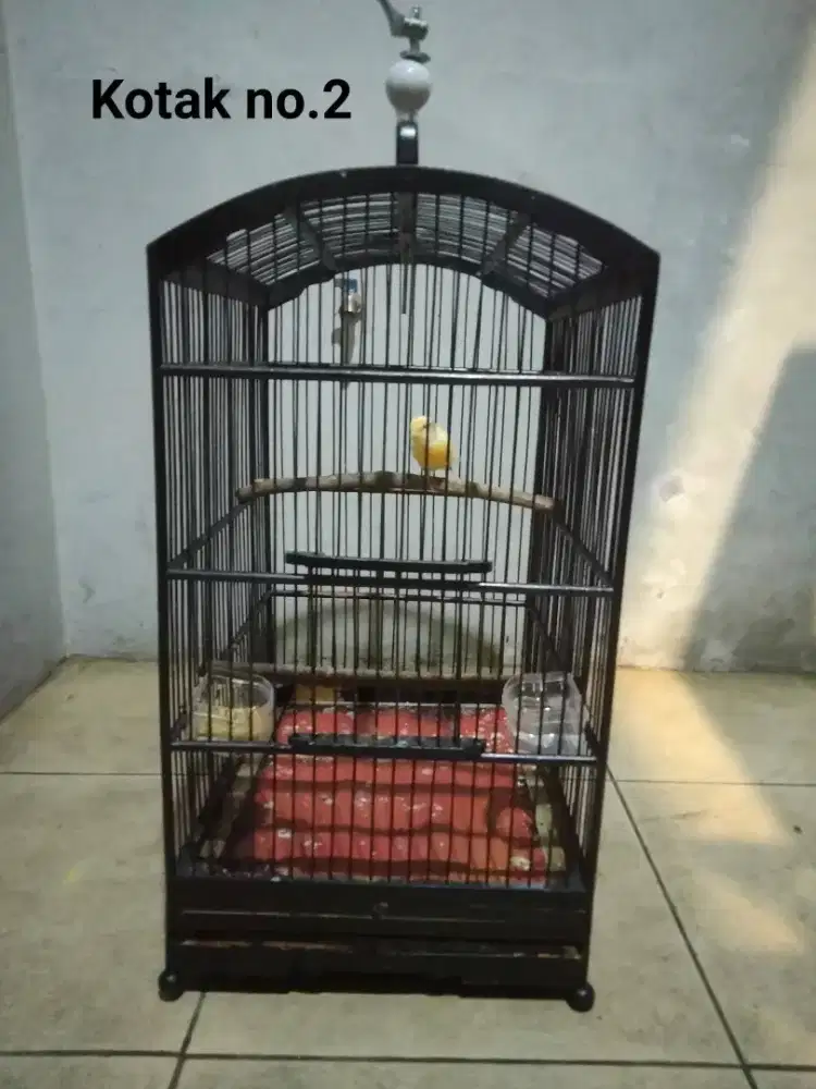Kandang Kotak no.2 & no.3 lengkap sama kerodong