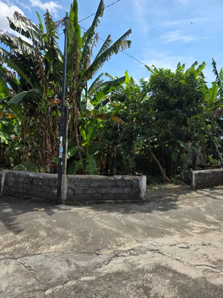 TANAH PEKARANGAN DIJUAL