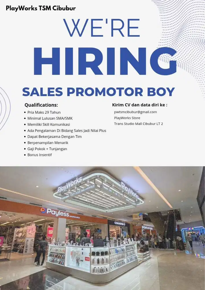 Sales Promotor Boy