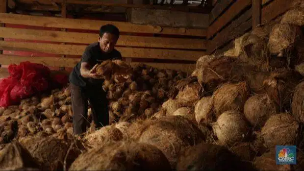 Di Butuhkan Kuli Serabutan Untuk Di Gudang Kelapa Tua