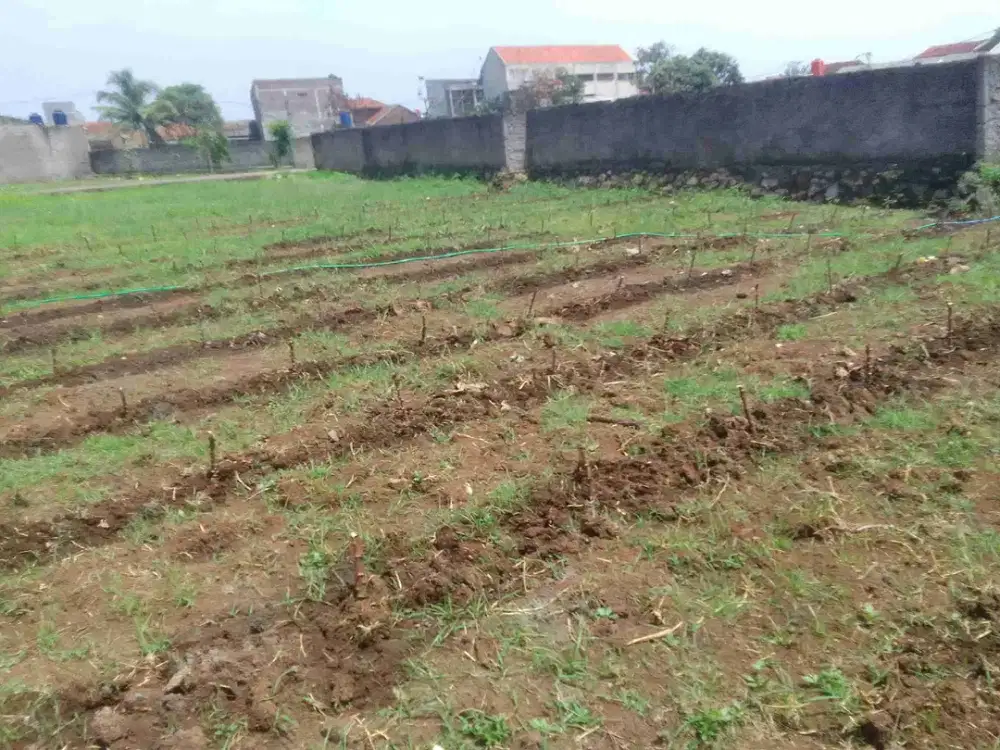 dijual tanah termurah di perumahan Assalam 2 Bojongsoang 2 jt permeter
