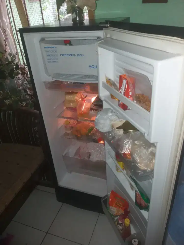 Kuljas br 2 th an normal veku dngin lengkap free llmove dkt