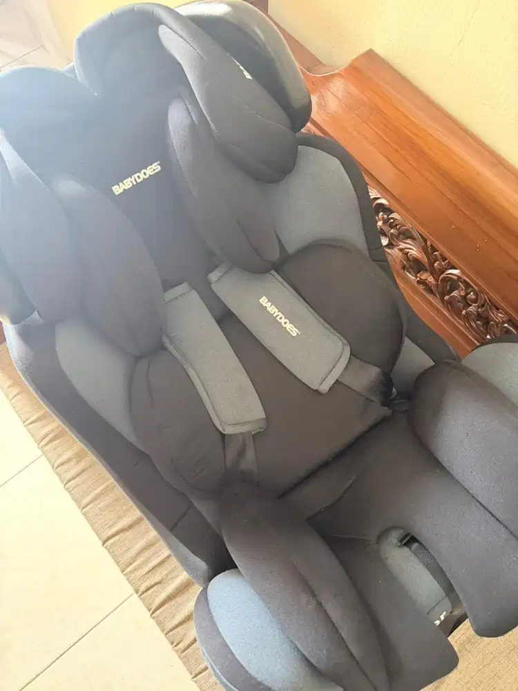 Babydoes Carseat