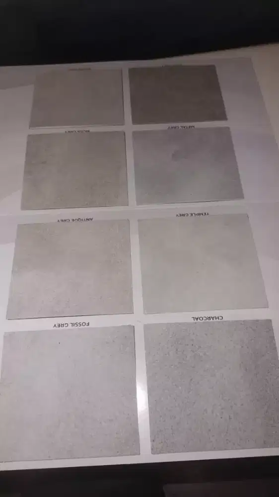 CAT WASH PAINT PROPAN