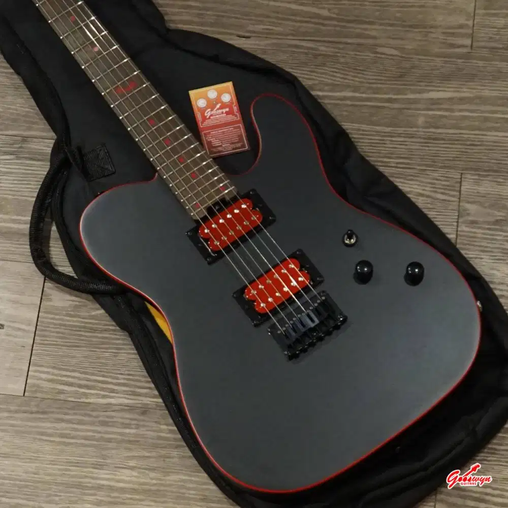 Schecter Japan PA-SM/SH – Mat Black