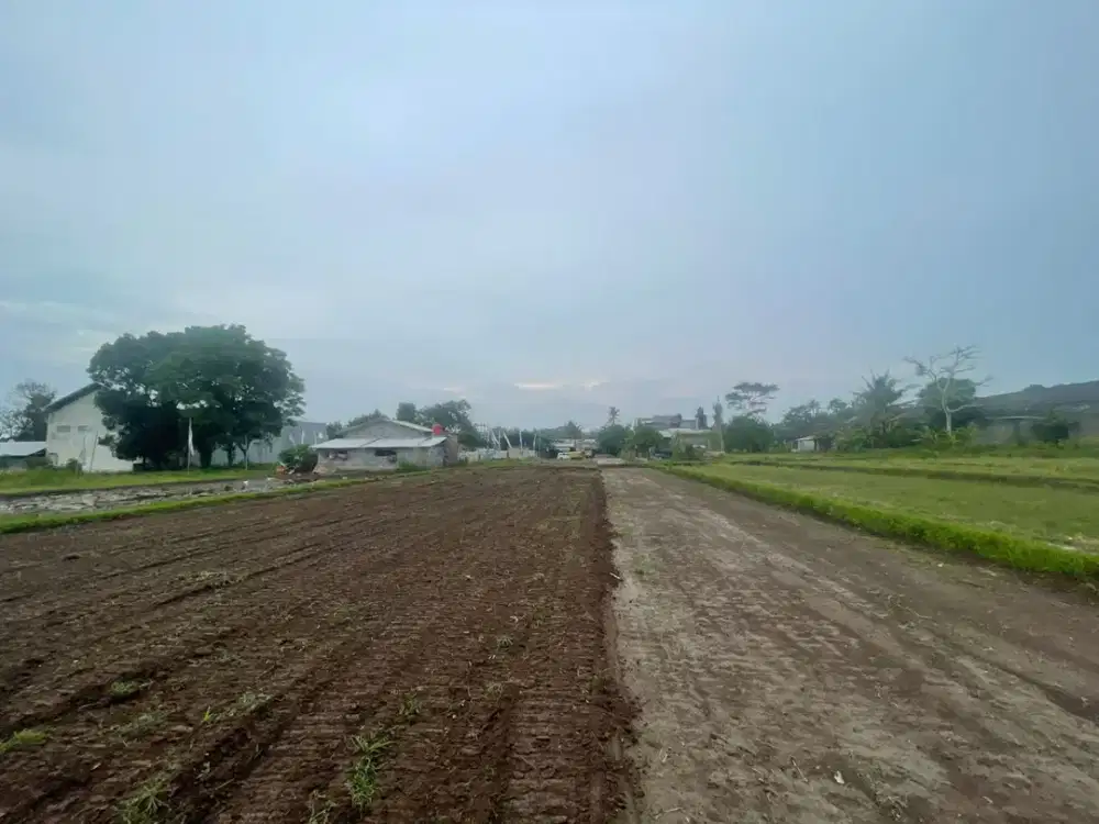 Tanah Jogja SHM Dekat Sleman City Hall Mall dan Pemda, Bisa Cicilan Bunga 0%