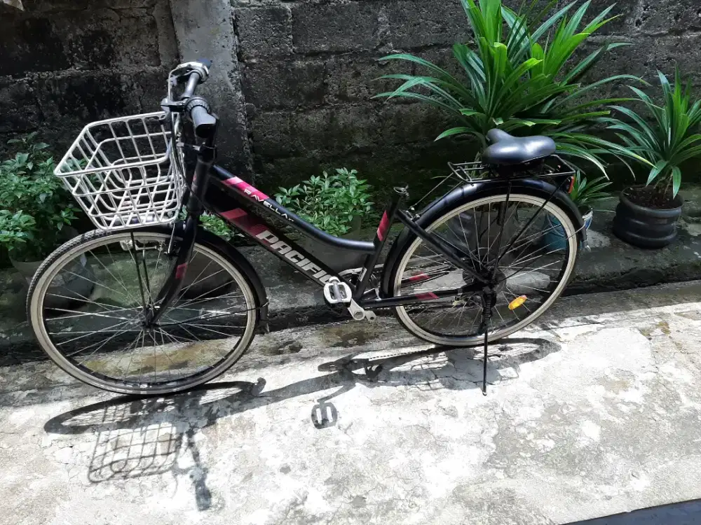 Di jual sepeda  pacivic
