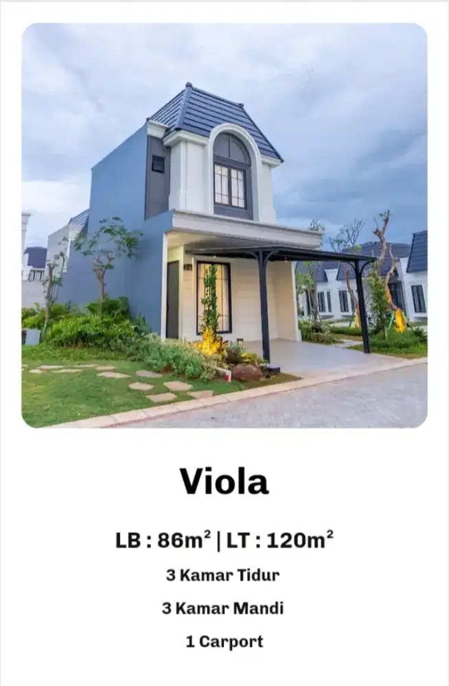 new Cluster The Premiere