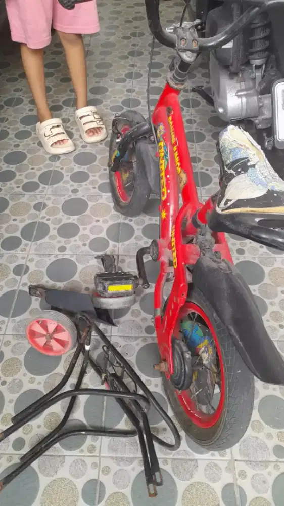 Sepeda anak united dan evergren