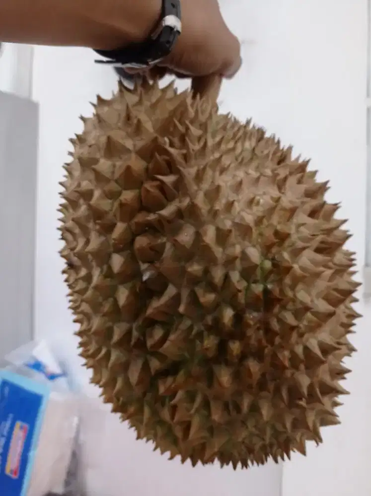 LOWONGAN PEKERJAAN GUDANG