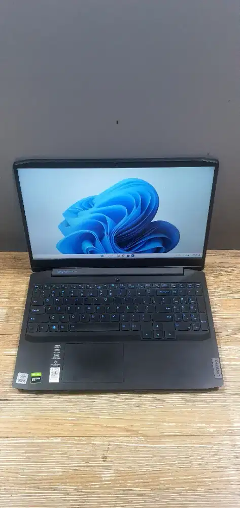 Lenovo ideapead gaming.