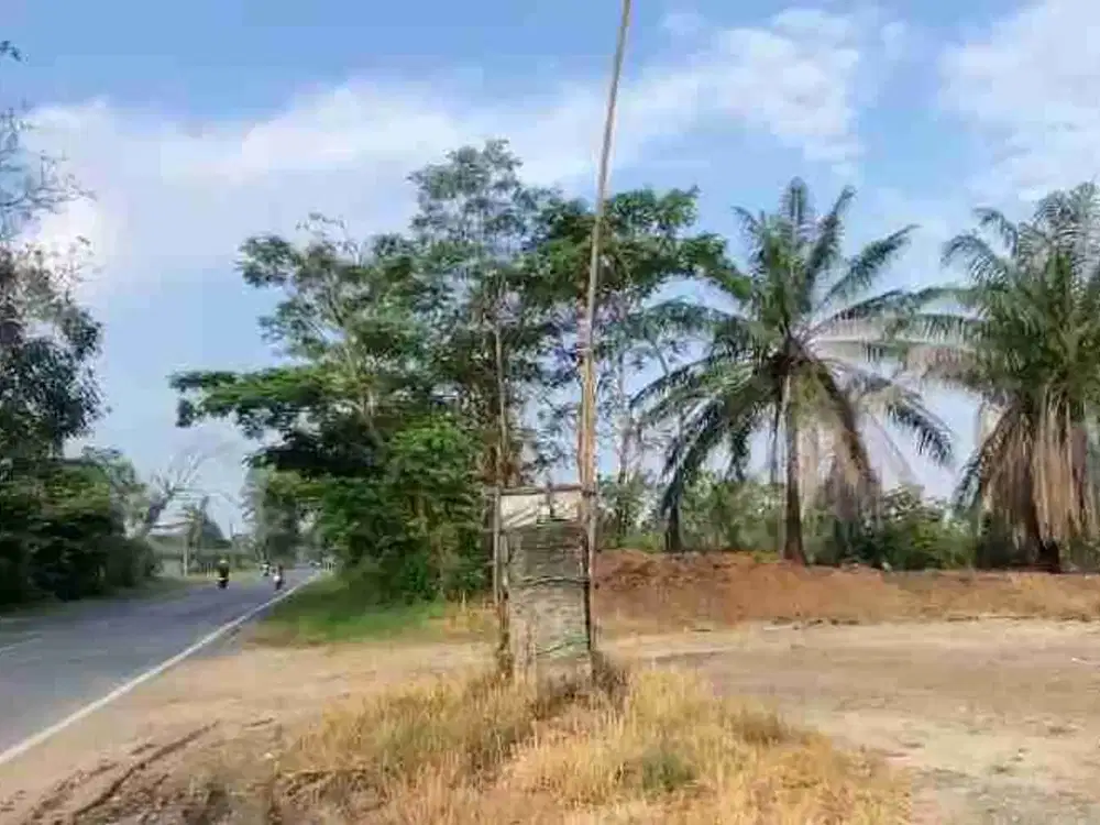 tanah 6 hektar pinggir lintas sumatera terbanggi besar