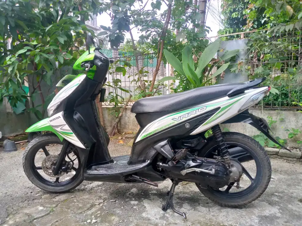 Vario 110.stater on..pjk on idup