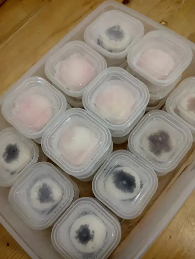 Dibutuhkan karyawati untuk menjadi team produksi