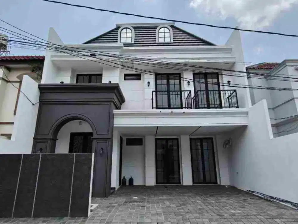 Baru Gress American Classic - Dharmahusada