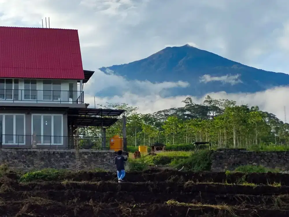 Tanah kavling ASYIFA Kebun Teh Lawang Malang View Gunung