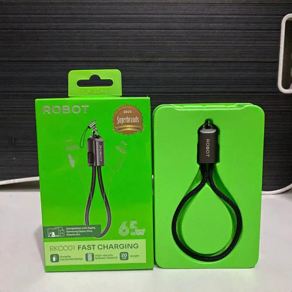 Kabel USB Type-C to Type-C Robot RKCC01 65W