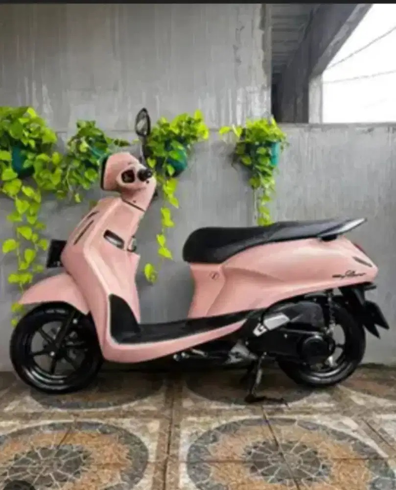 Filano 2025 Pjk ON Pnjg Gres