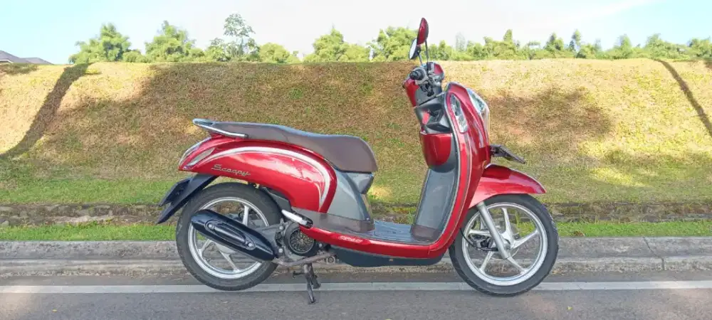 Honda Scoopy stylish 2017