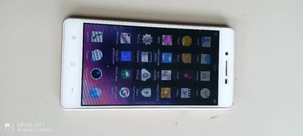 Hp , kandang burung & 3 hamster