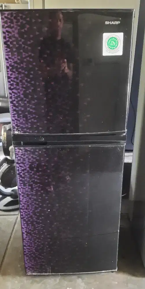 kulkas SHARP 2 pintu