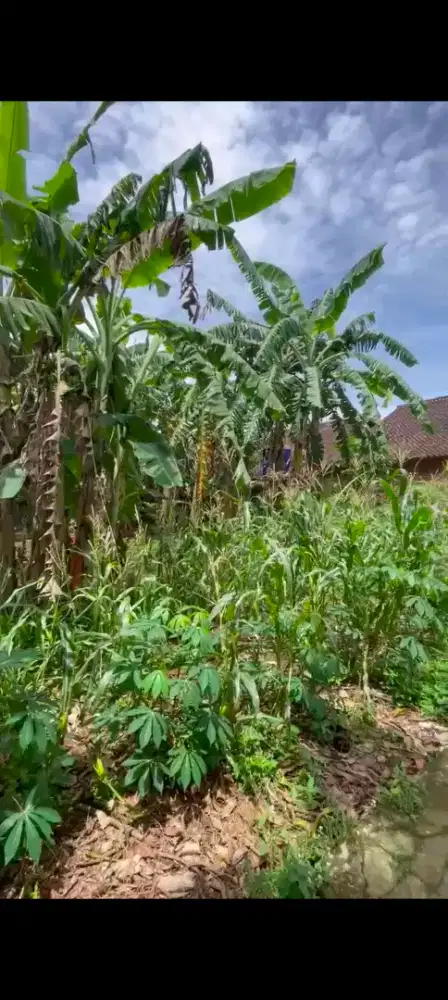 Jual tanah siap bangun kawasan metro Utara 23