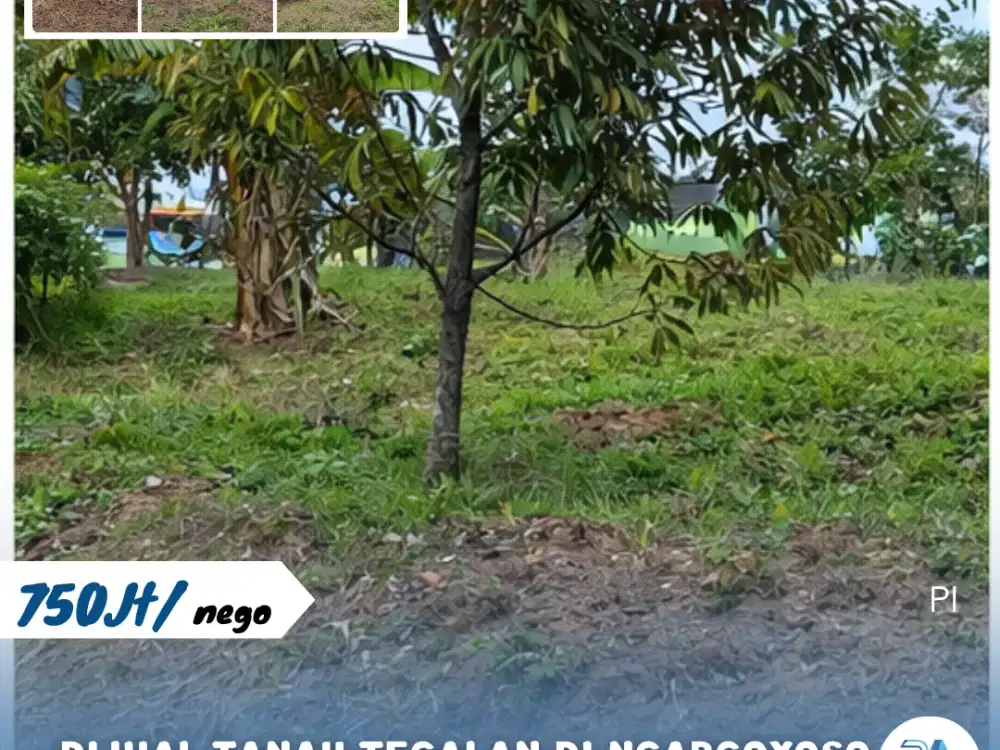 Dijual Tanah Tegalan Lokasi Ngargoyoso Kemuning
