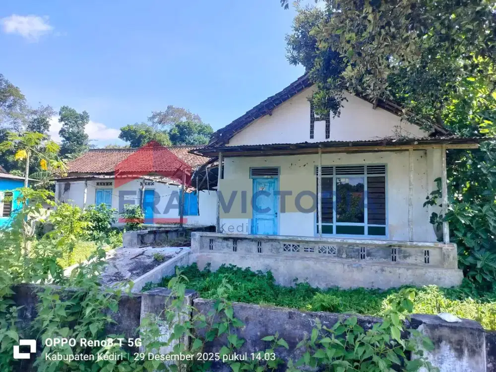 Tanah Posisi Hook di Karangrejo Kandat Kab Kediri Dekat Lapangan Kandat Bonus Bangunan Rumah Luas 103 m2