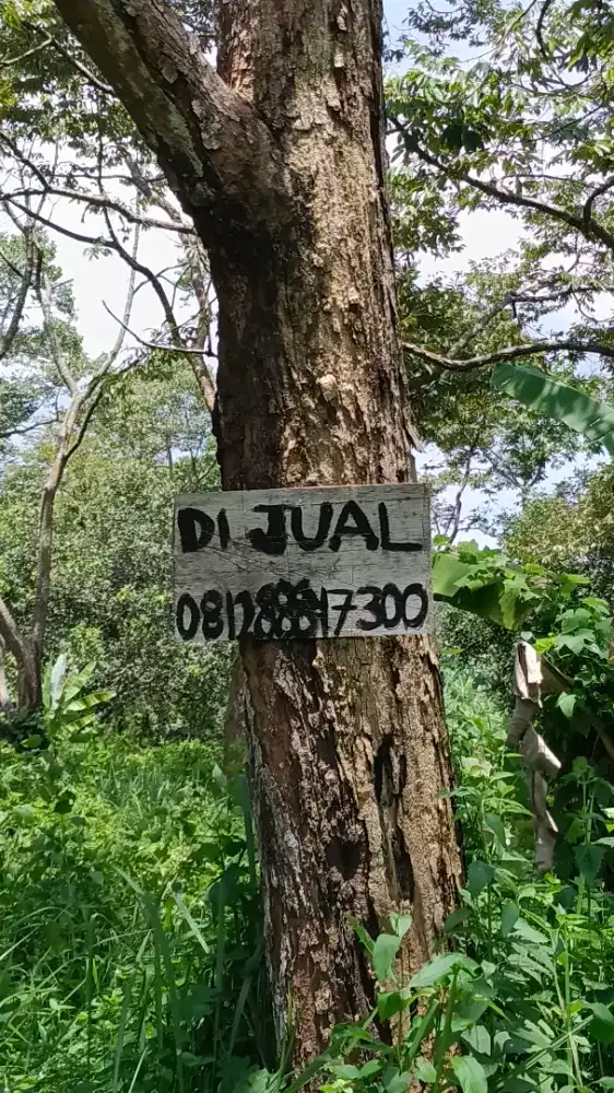 DIJUAL!! Tanah Datar 2,8 Ha Puncak Sukadanaham