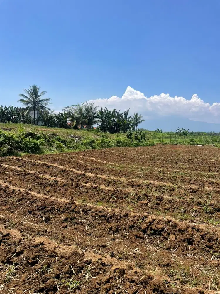 DIJUAL CEPAT Tanah di Kab. Bogor