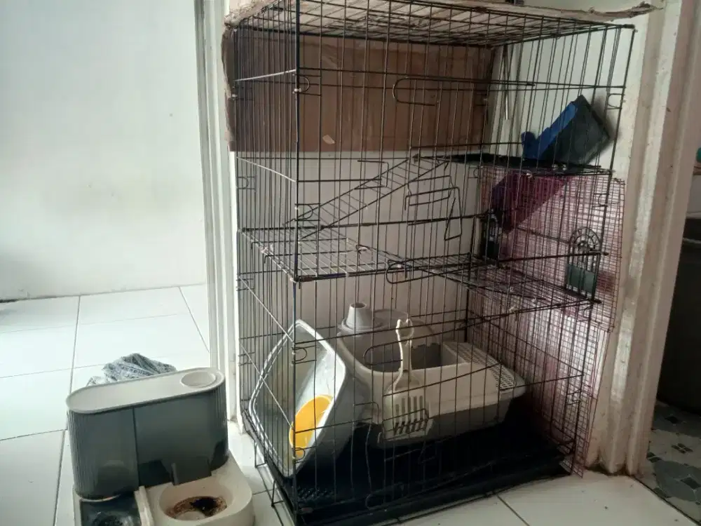 peralatan kucing kandang besar