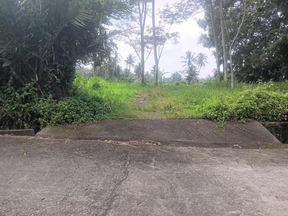 Tanah Sawah Cocok Dibangun Villa Daerah Sleman Utara