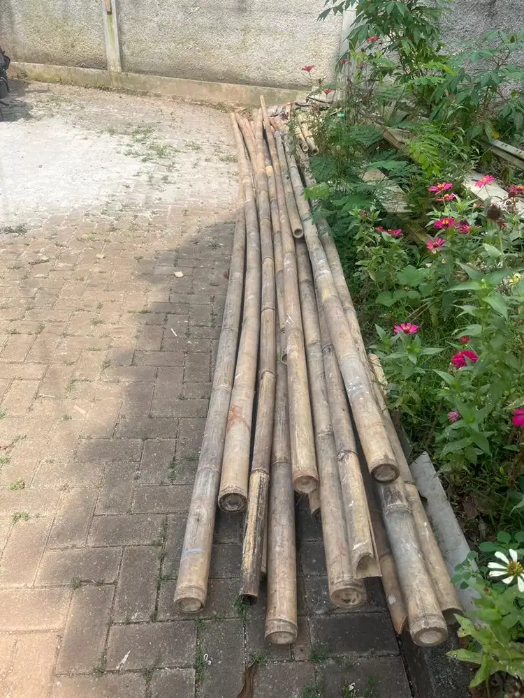 Bambu steger untuk bangunan