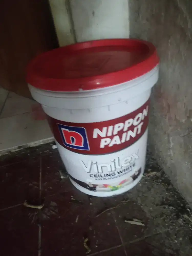 Material sisa renovasi: cat plafond Dan gypsum