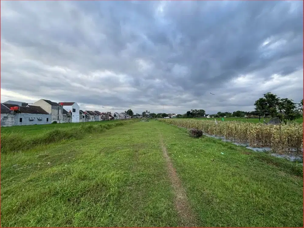 Tanah SHM Sidoarum Sleman Bisa Cicil 0%