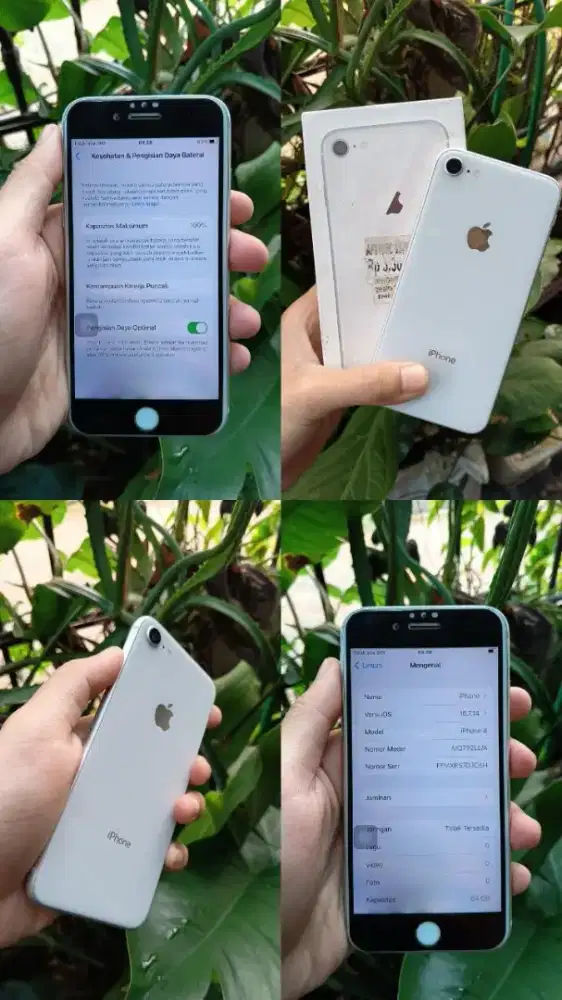 iPhone 8 64 GB All Operator